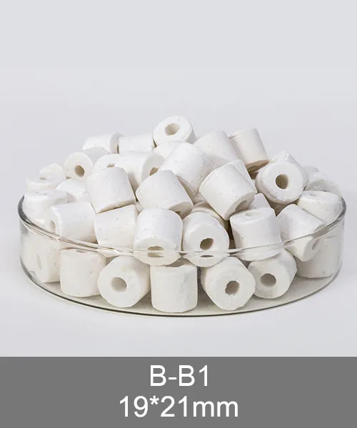 B-B1 round ceramic ring sample with nominal 19 by 21 millimetre dimensions
