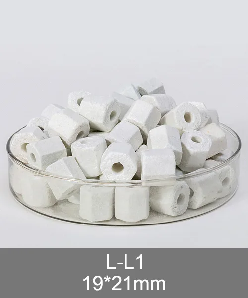 L-L1 ceramic ring sample with nominal 19 by 21 millimetre dimensions and a different outside profile