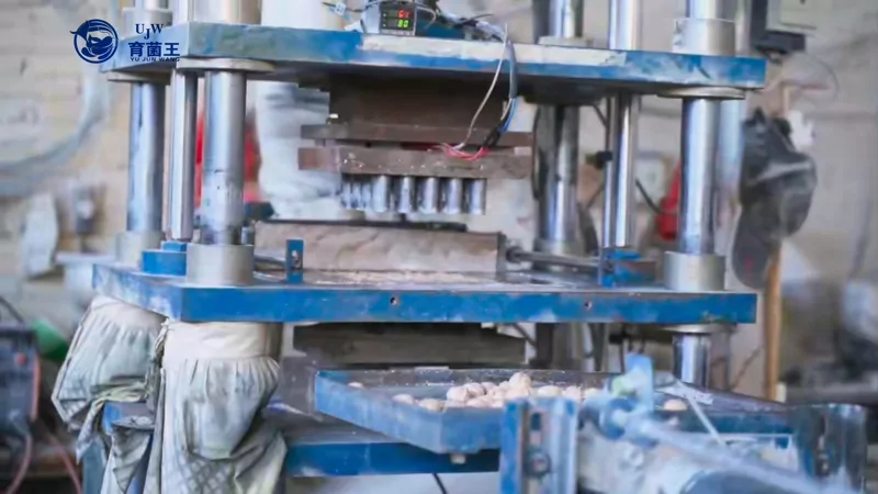 UJW production process for shaped porous ceramic aquarium filter media