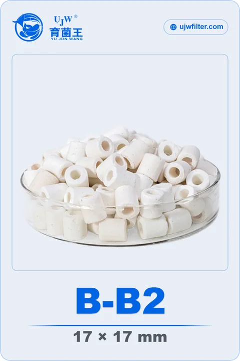 UJW Ceramic Rings model B-B2 product card