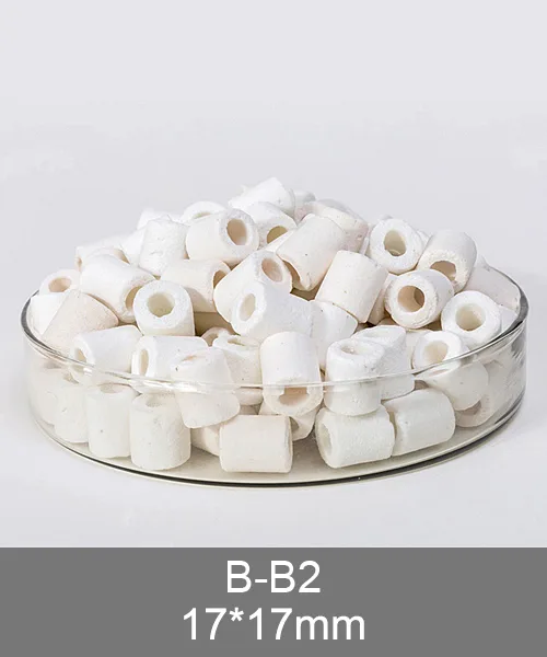 B-B2 ceramic rings, white ceramic ring media pieces
